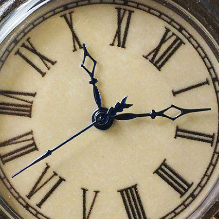 カテドラル針の写真